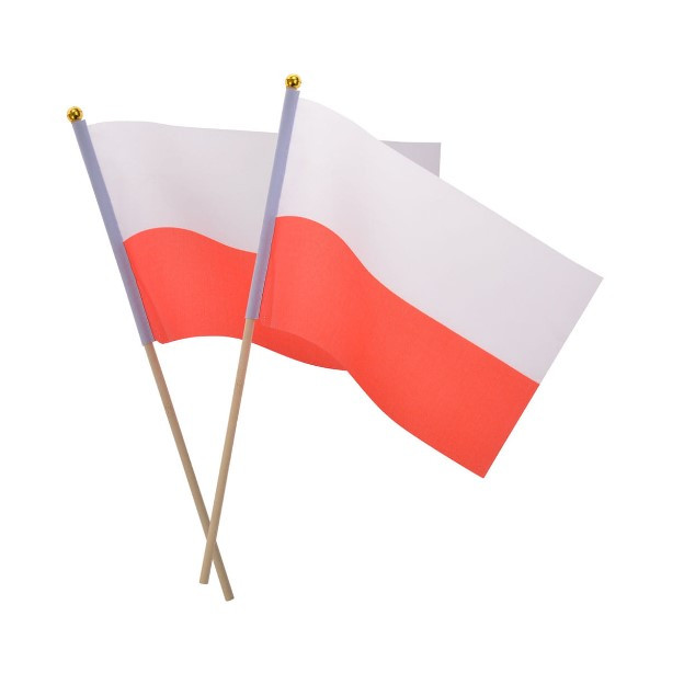 Flaga materiałowa na patyczku (2szt) SP4903 Arpex